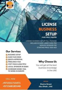 BUSINESS SETUP AND PRO SERVICES