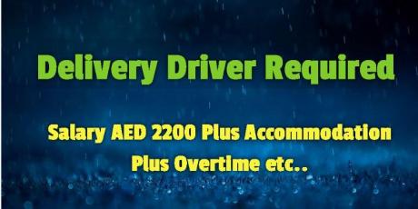 Delivery Driver Required