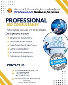 PROFESSIONAL ISO CONSULTANCY