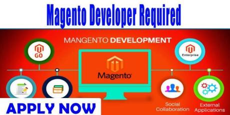 Magento Developer Required