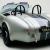 Ford Shelby BACKDRAFT RACING COBRA / 5.0L V8 / ULTRA PREIMIUM METALIC FINISH / 18 RACING WHEELS / AU