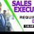 Sales Executive Required in Dubai -