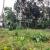 Land for sale Thiruvananthapuram Near Government Engineering College, Thiruvananthapuram