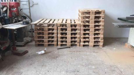 Woodenpall ets 100x120 80x120 110x110