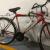 Cycle month old