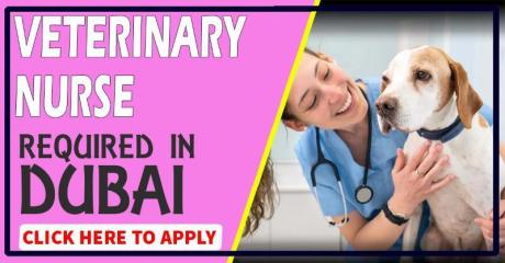 Veterinary Nurse Required in Dubai