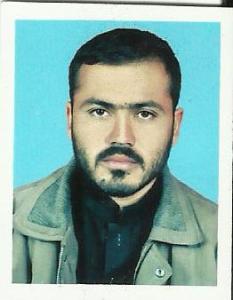 Land and building surveyor / civil supervisor