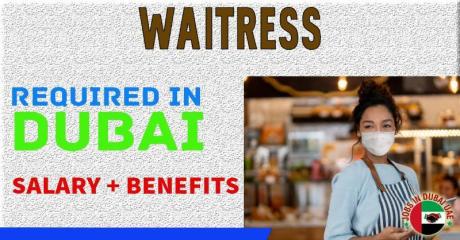 Waitress Required in Dubai -