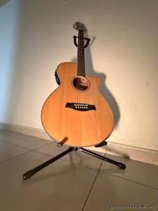 Acoustic Guitar