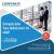 Corporate Tax Advisory and Consulting services