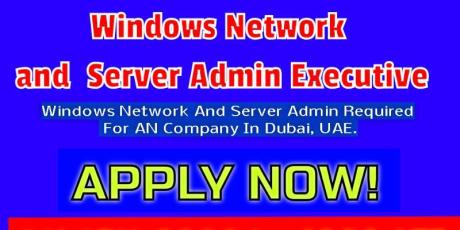 Windows Network And Server Admin Executive