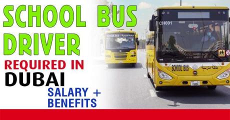 School Bus Driver Required in Dubai