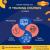 Top Web Designing Training Courses with Tafrishaala