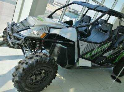 WILD CAT 4X LIMITED - GRAY - 2018