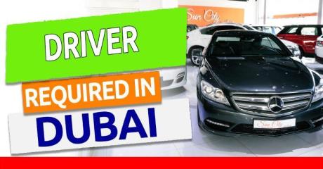 Driver Required in Dubai