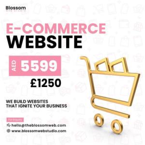 Get an E-commerce Website Design for Your Online Store