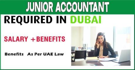 Junior Accountant Required in Dubai