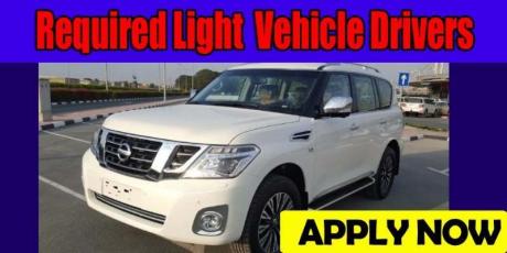 Required Light Vehicle Drivers