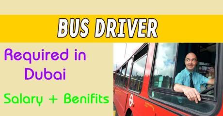 Bus Driver Required in Dubai