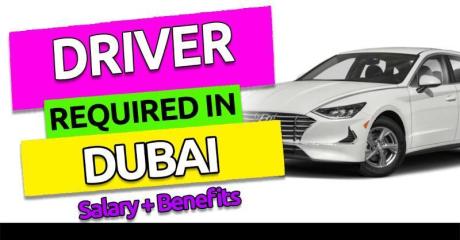 Driver Required in Dubai