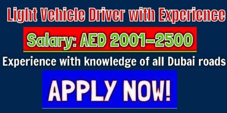 Light Vehicle Driver with Experience